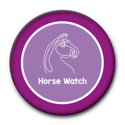 Horse watch